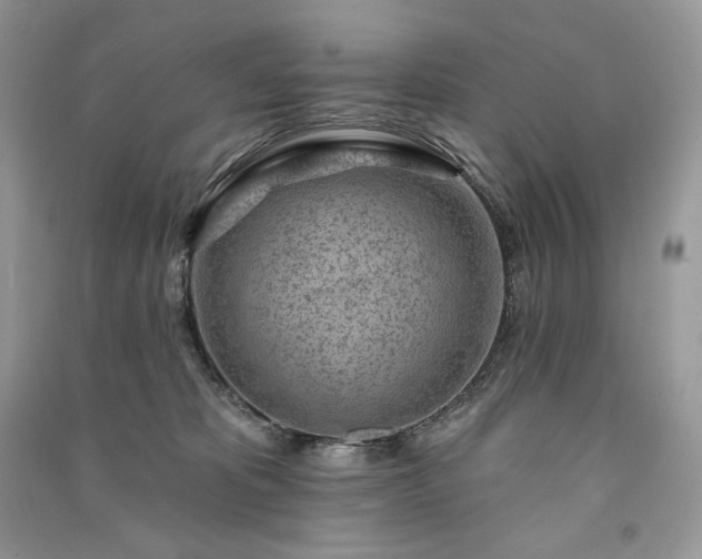 X0000091090325200708131325