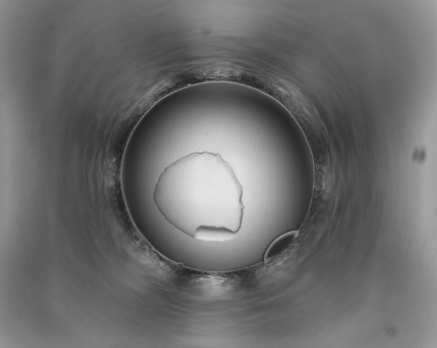 X0000091090326200708131325