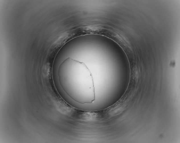 X0000091090328200708131325