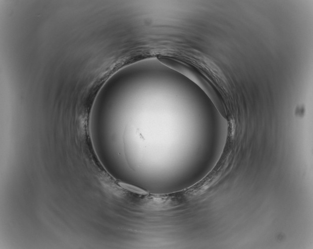 X0000091090329200708131325