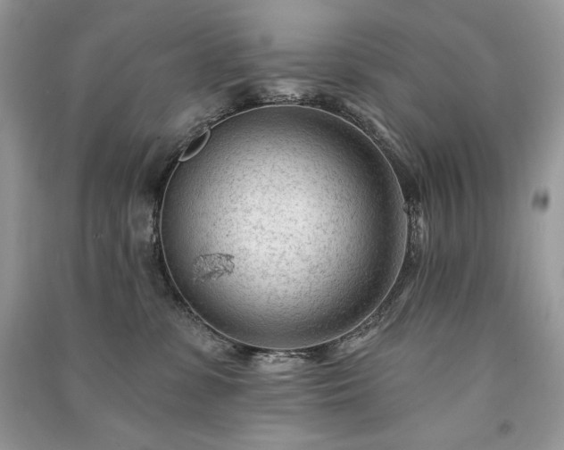 X0000091090331200708131325