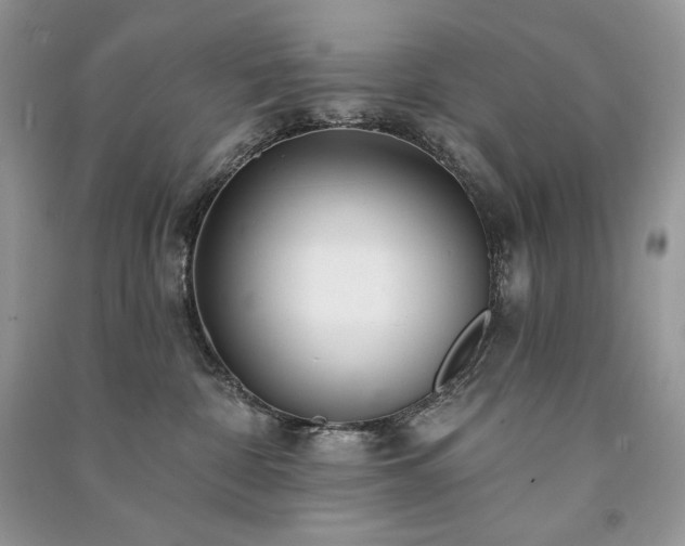 X0000091090332200708131325