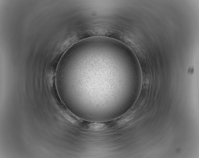 X0000091090334200708131325