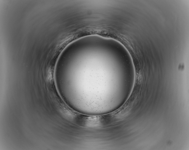 X0000091090335200708131325
