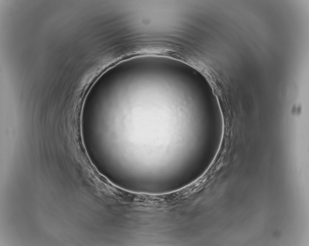X0000091090337200708131324