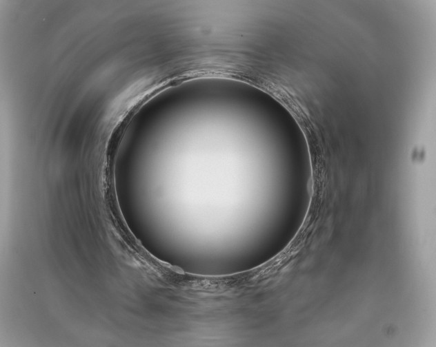 X0000091090338200708131324
