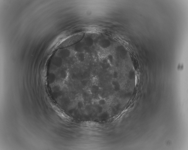 X0000091090339200708131324
