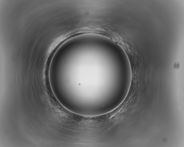X0000091090340200708131324