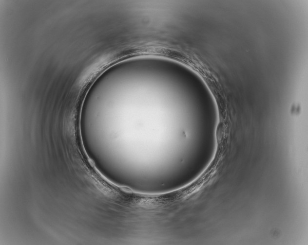 X0000091090341200708131324