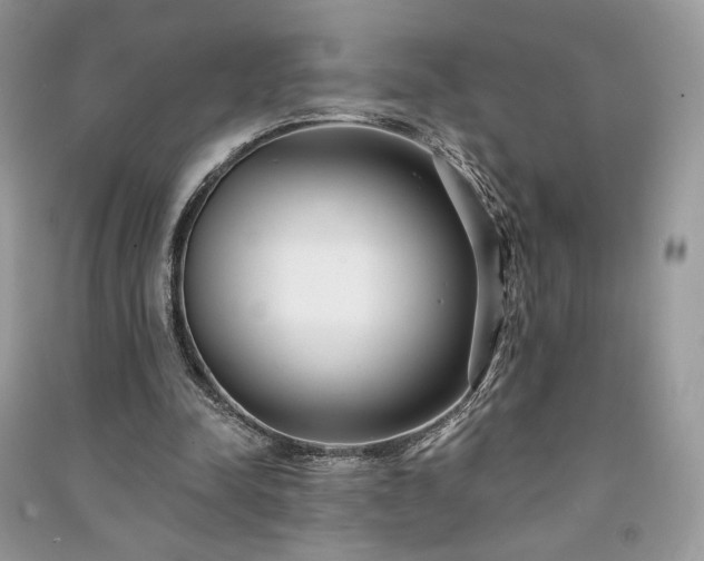 X0000091090342200708131324