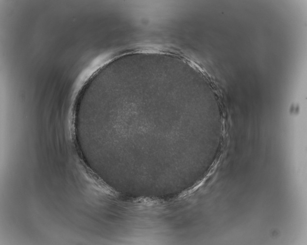 X0000091090343200708131324
