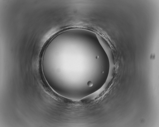 X0000091090344200708131324