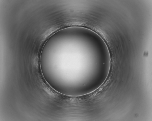X0000091090345200708131324
