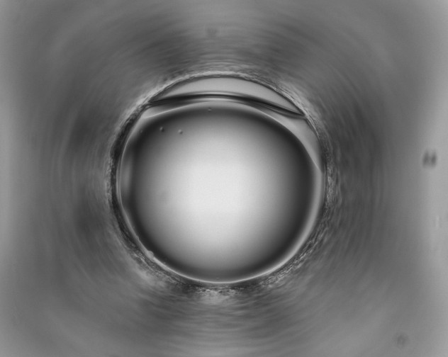 X0000091090346200708131324
