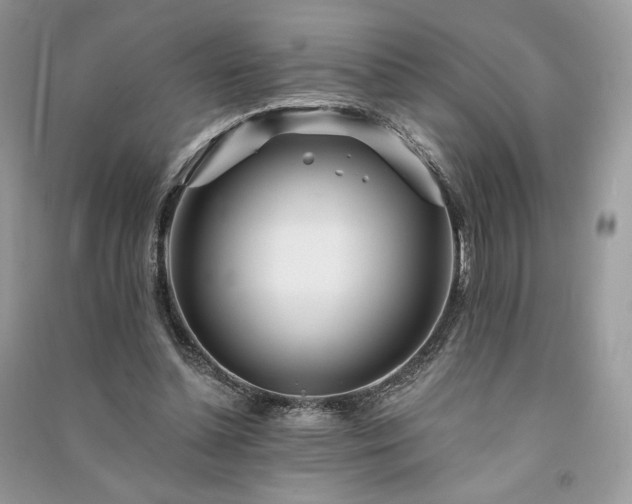 X0000091090348200708131324