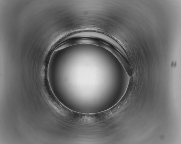 X0000091090350200708131324