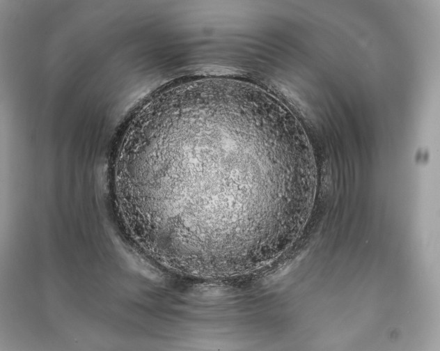 X0000091090351200708131324