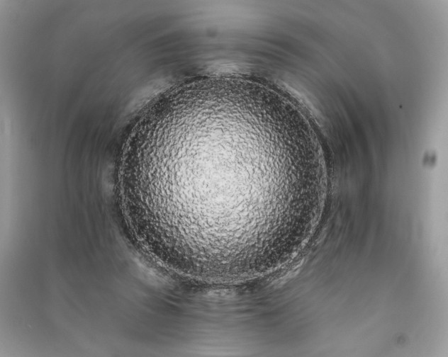 X0000091090353200708131324