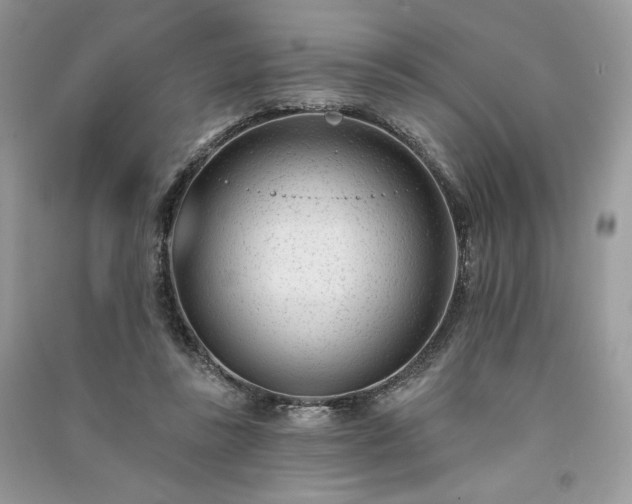 X0000091090355200708131324