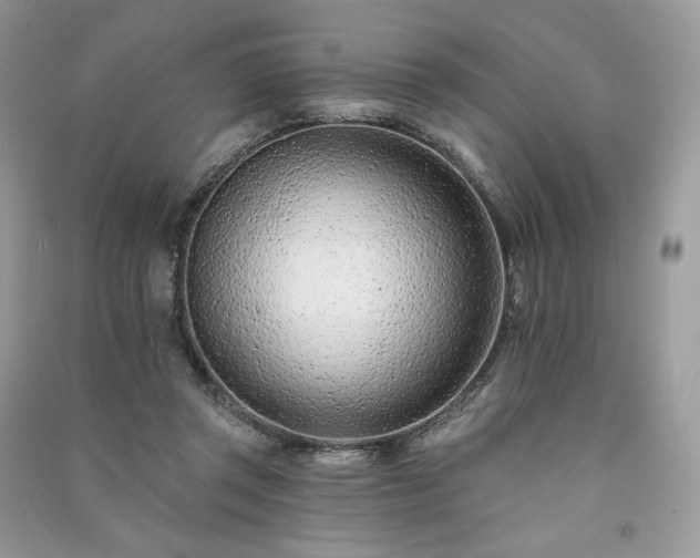 X0000091090357200708131324