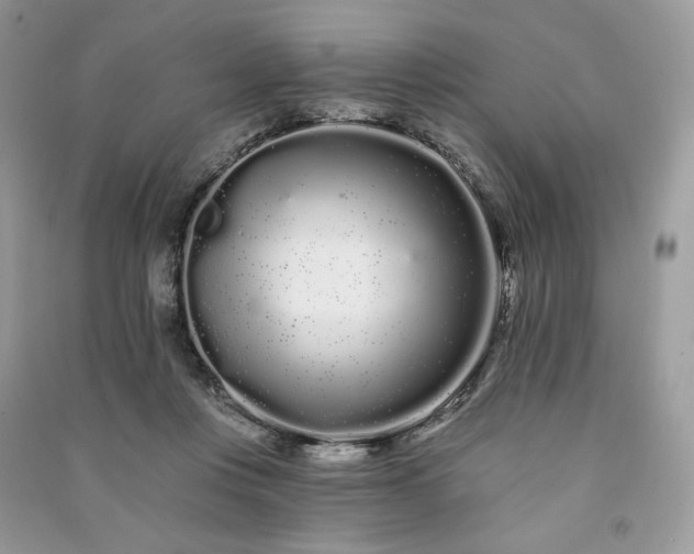X0000091090359200708131324