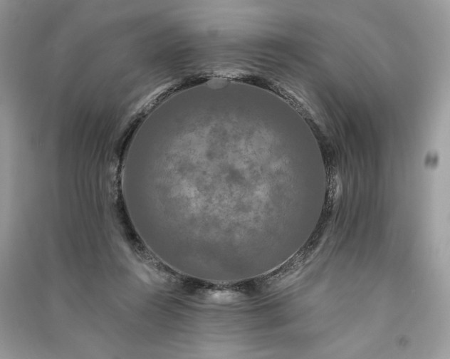 X0000091090360200708131324