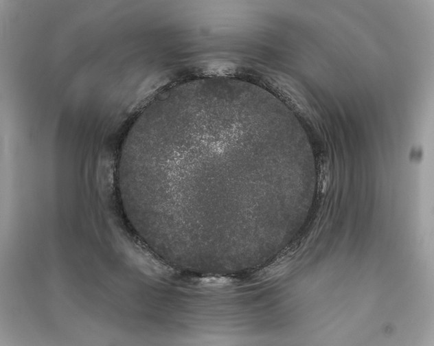 X0000091090363200708131324