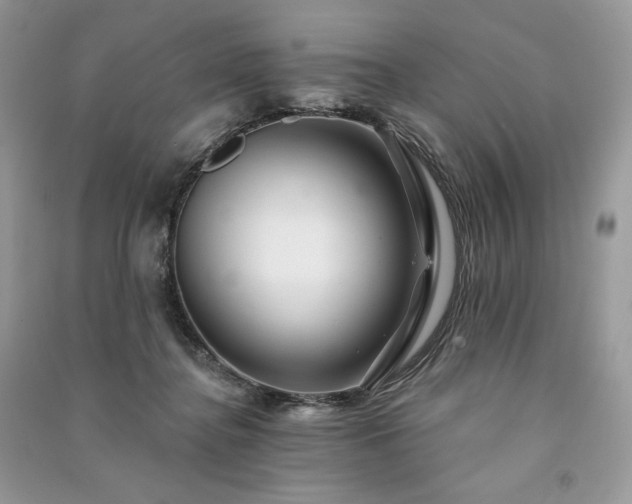 X0000091090364200708131324