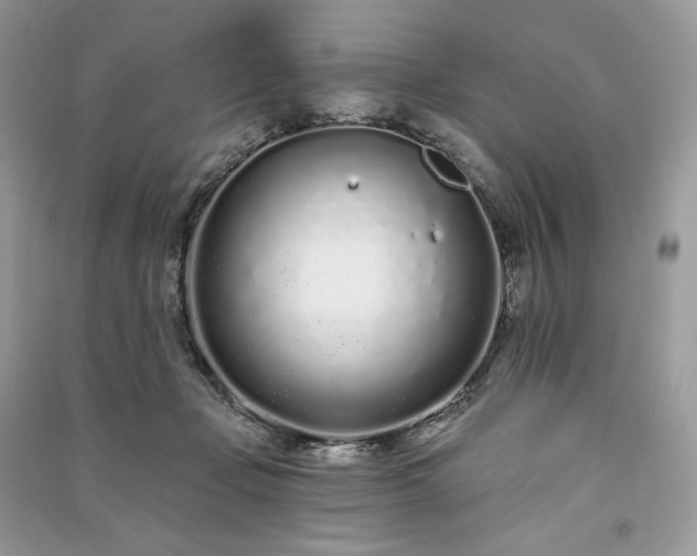 X0000091090365200708131324