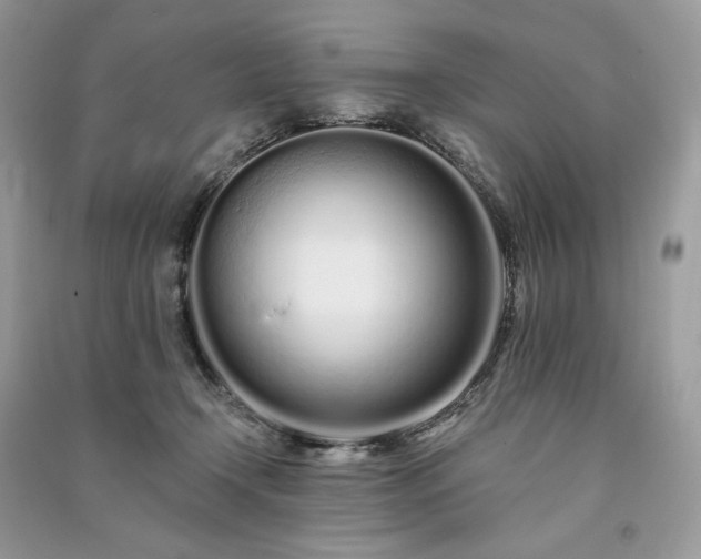 X0000091090366200708131324