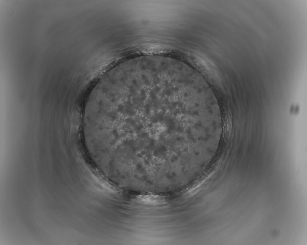 X0000091090367200708131324