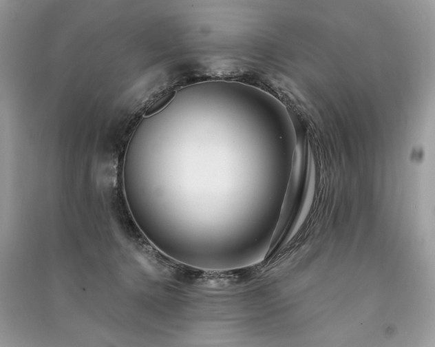 X0000091090368200708131324