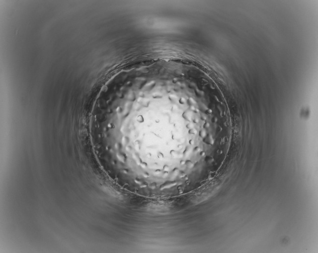 X0000091090369200708131324