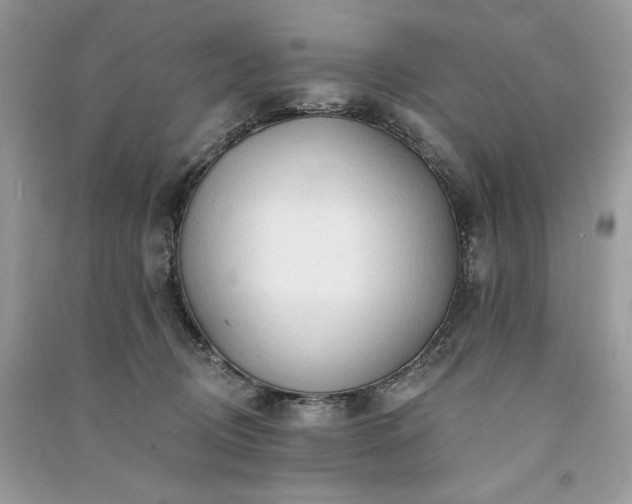 X0000091090370200708131324
