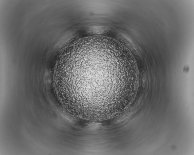 X0000091090374200708131325
