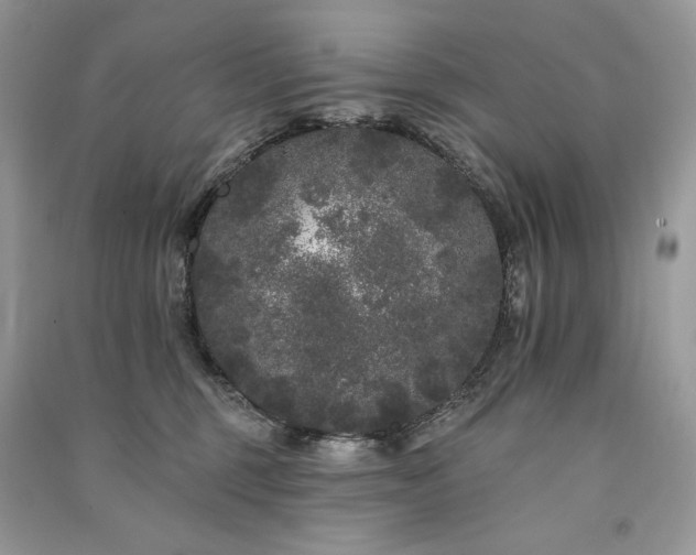 X0000091090375200708131325