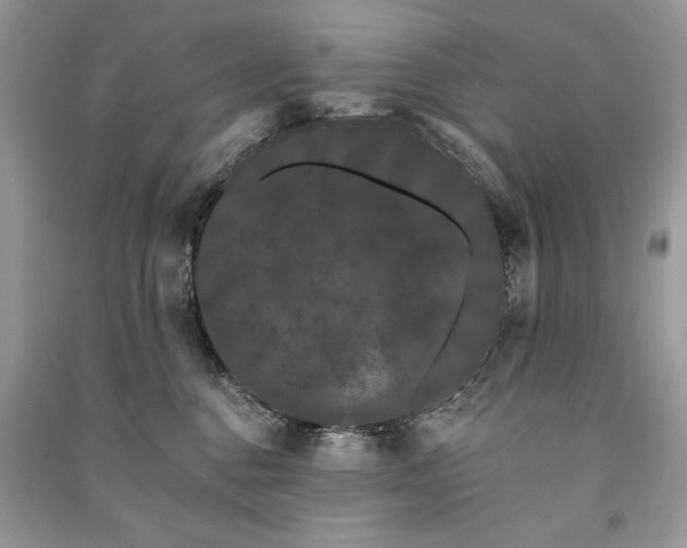 X0000091090376200708131325