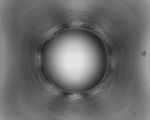 X0000091090378200708131325