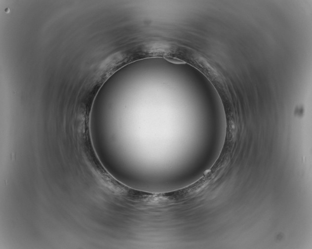 X0000091090379200708131325