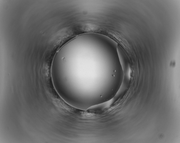 X0000091090380200708131325