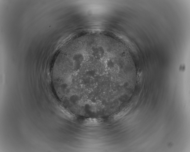 X0000091090381200708131325