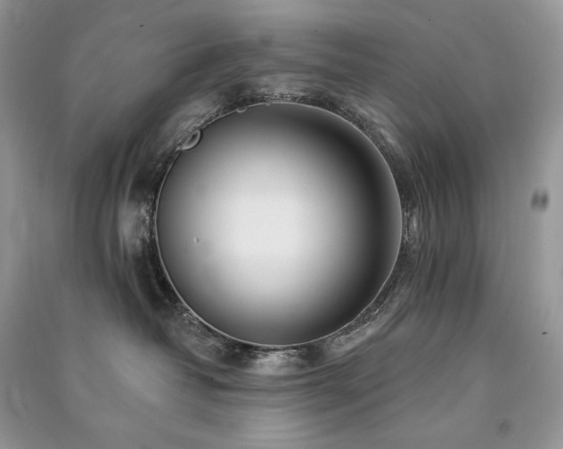 X0000091090382200708131325