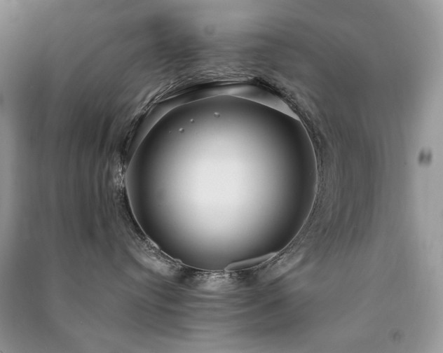X0000091090384200708131325