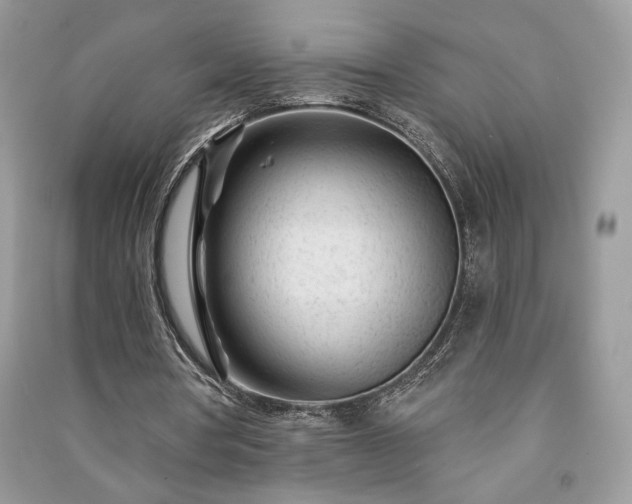 X0000091090386200708131324