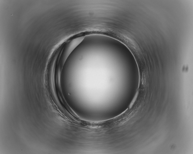 X0000091090388200708131324