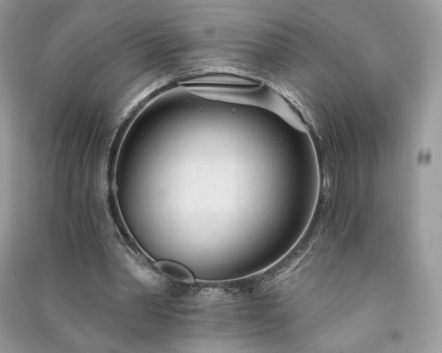 X0000091090390200708131324