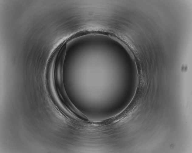 X0000091090391200708131324