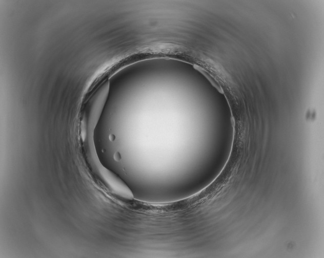 X0000091090392200708131324