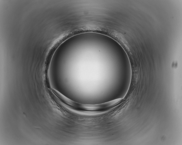 X0000091090395200708131324