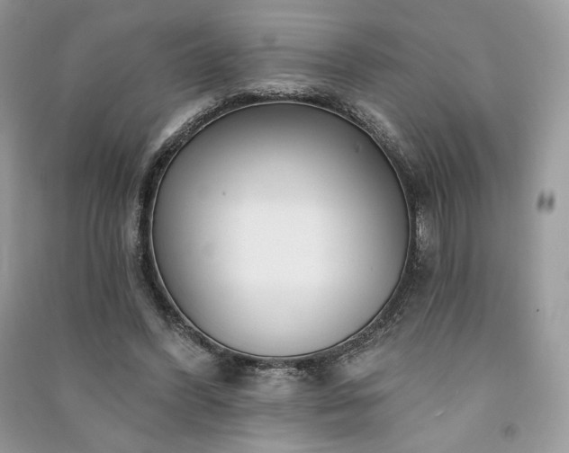X0000091090396200708131324